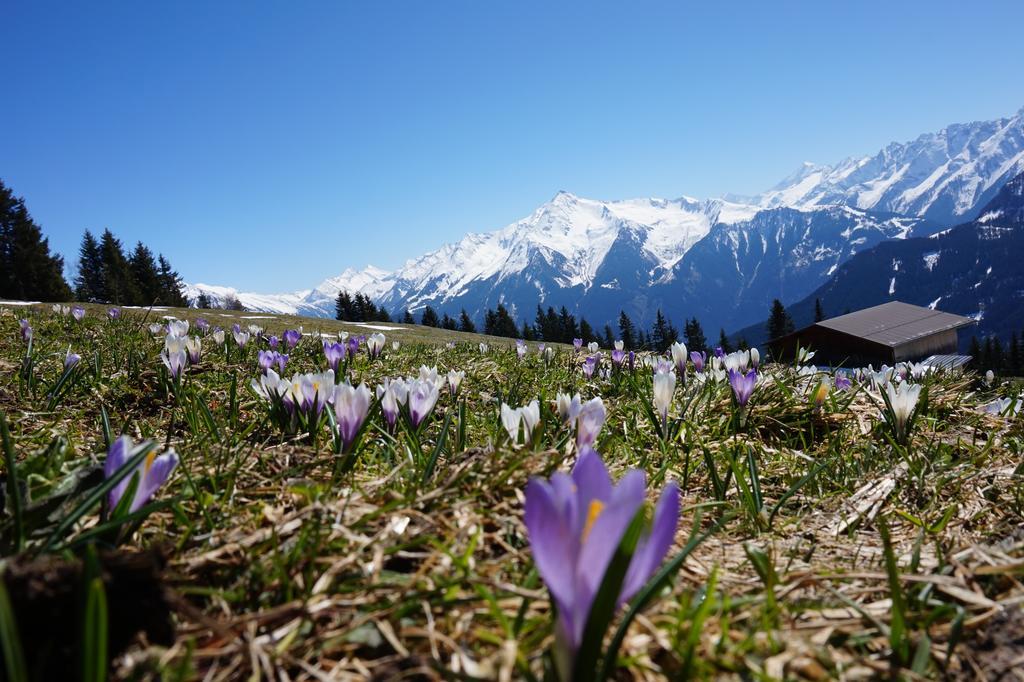Apart Heim Ramsau im Zillertal Exteriér fotografie